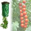 Sturdy Hanging Planter Bag For Tomatoes Strawberries Balcony And Home Gardening