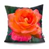 Mote Rose Putetrekk Polyester Print Putetrekk Beautiful Flower Home Decor Putetrekk