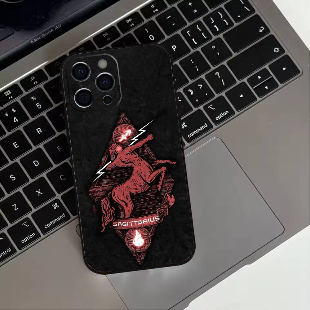 Twelve zodiac signs Phone Case For iPhone 17,16,15,14,13,12,11 Plus,Pro Max,XS,Soft Silicone Black Cover