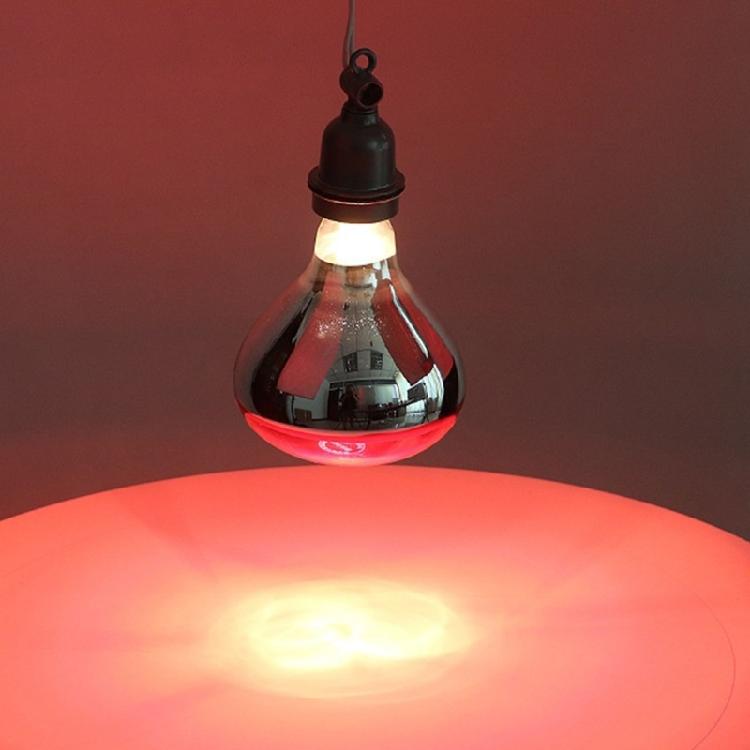 2pcs 250W Heat Lamp Red Light for Piglets Baby Chicken and Small Animals with E26 Base