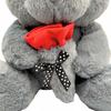 Teddy Bear Plush Toy For Valentine's Day Unique Teddy Bear With Rose 25 Cm