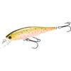 LUCKY CRAFT Pointer 65 Freeze Brown Fishing Lure Minnow [Bee 65SP] (803 Trout)