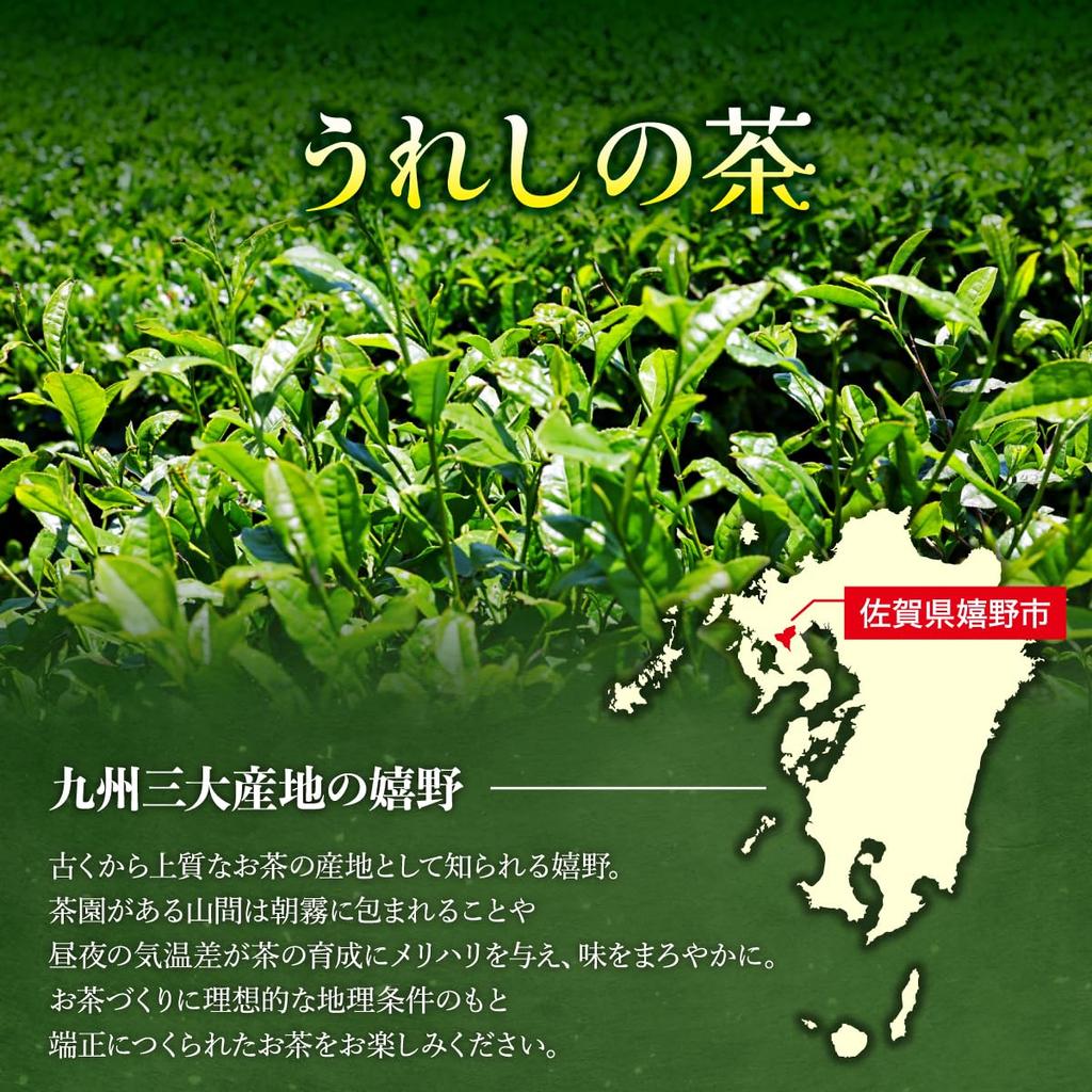 Ureshino Tea, Ureshinoen Tea, Cold Brew Tea Bags, 5g X 35 Tea Bags, Made In Saga, Japan, Suitable for Cold or Hot Brew, Green Tea, Sencha, Japanese
