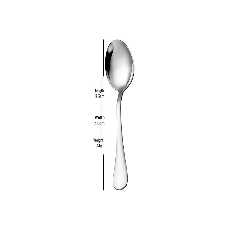 

304 Stainless Steel Dining Spoons (Set of 4)