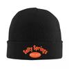 Video Game Bonnet Hats Salty Springs 2017 Knitted Hat Men Women Unisex Casual Thermal Elastic Beanie Hats Autumn Gym Design Cap
