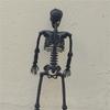 Realistic Full Body Human Bone Halloweens Props Flexible Joints Portable Plastic Indoor Outdoors Decoration