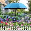 Umbrellas For Outdoor Plants Foldable UV Protection Parasol Garden Sun Shade Covers For Patio Balcony Outdoor Backyard Terrace