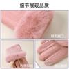 Warm Gloves Women's Plush Thickened Outdoor Riding Windproof and Cold Driving Autumn and Winter Gloves