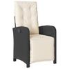Vidaxl 9-Cz. Garden Furniture Set With Cushions, Black, PE Rattan
