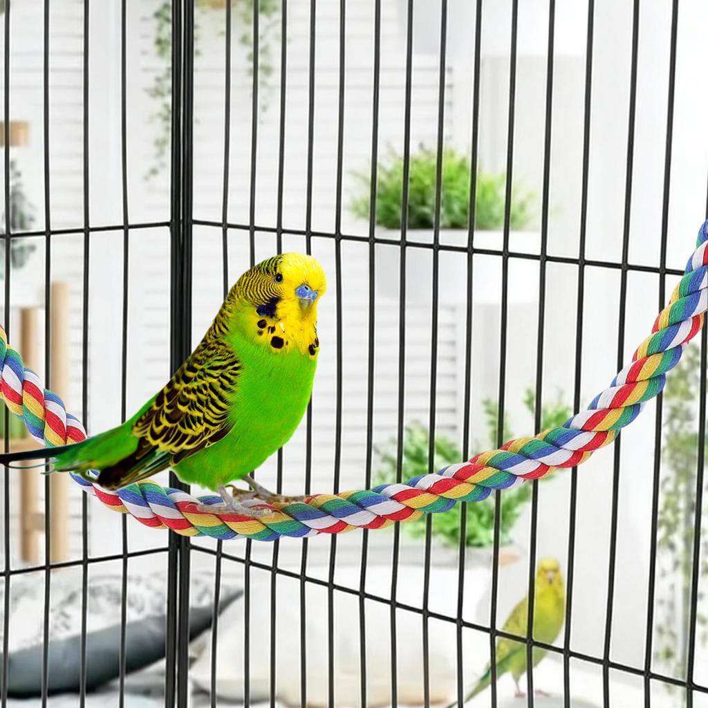 Bird Rope Perch Interactive Colorful Swing Toys Cockatiel Perch Bird Cage Swing Toys For Parakeet Conure Canaries Hamster Indoor