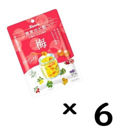 Kanro Health Throat Candy Plum 90g6 Pieces