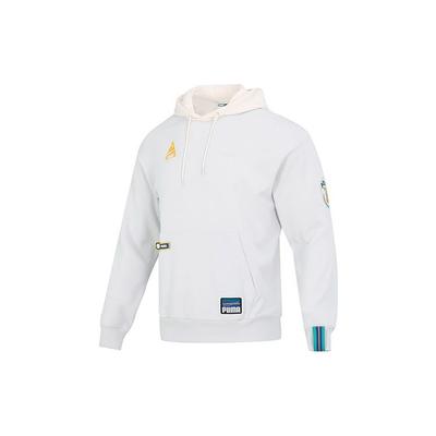Puma Team-Abzeichen Hoodie Herren Oberteile Grau 677377-72
