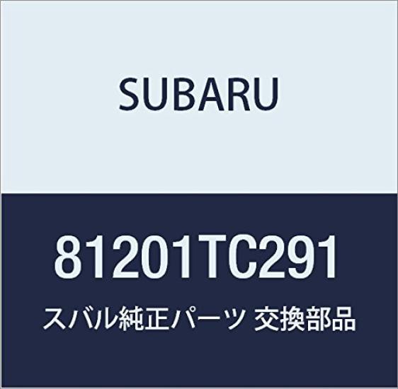 SUBARU Genuine Front Part Number 81201TC291 Harness,