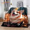 Simpatico cartone animato cane Husky, Samoye, Chihuahua, Koki Pomerania Coperta, morbida coperta per la casa Camera da letto Copridivano Coperta per bambini