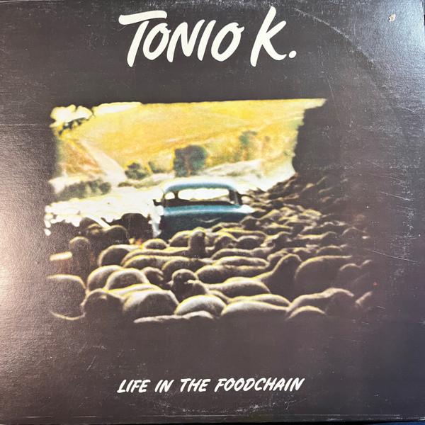 

LP Record TONIO K. Life In The Foodchain PE35545 Epic 1978 Canada Rock Used