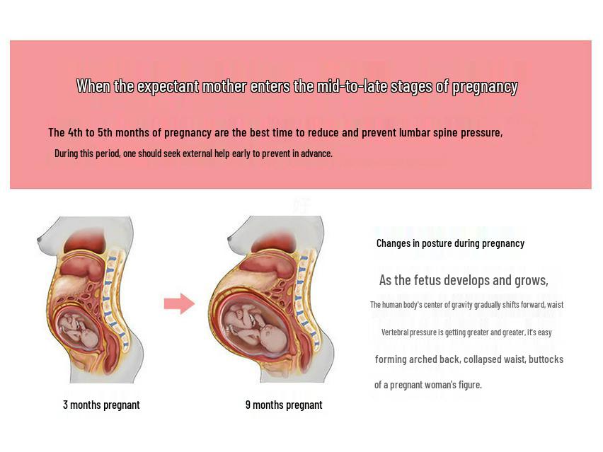 Prenatal Adjustable Support Belt for Back Relief & Breathable Belly Support for Pregnant Women