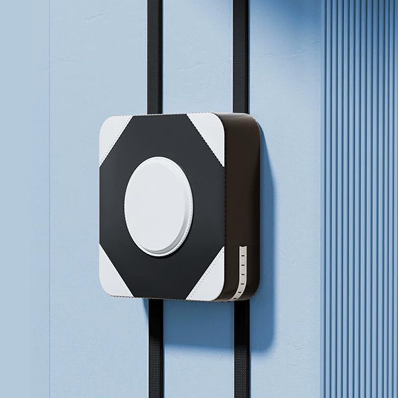 Wall-Mounted Boxing & Kickboxing Target