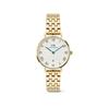 Daniel Wellington DW00100857 Watch
