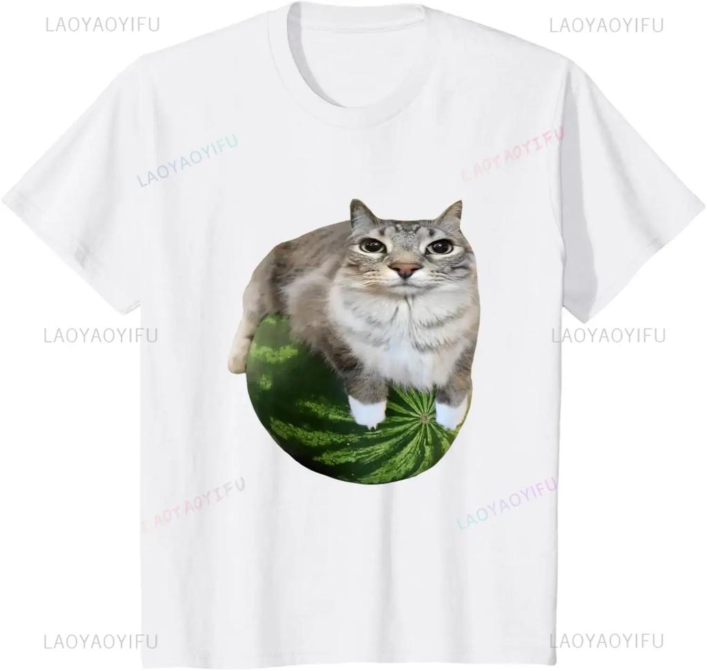 Cute Funny Cat On Watermelon Meme T Shirt Men Women ONeck Fashion Short Sleeve Tshirts Retro Harajuku Oversized Tshirt
