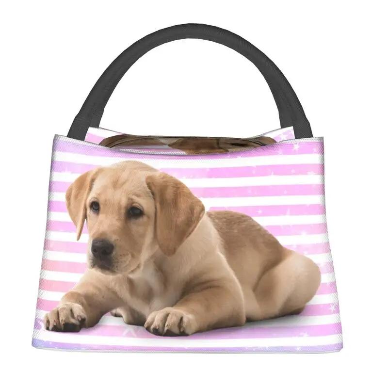 Lovely Pug Dog Insulated Lunch Tote Bag for Women Portable Cooler Thermal Bento Box Outdoor Camping Travel