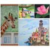 12/18/24 Color Art Supplies Metallic Colored Pencil Set Drawing Pencils Sketching Pencils Classroom for Adult