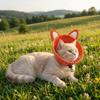 Tierförmiger Katzen-Elizabeth-Kragen Verstellbarer Katzen-Genesungskragen Katzen-Kegelkragen Kratzfest