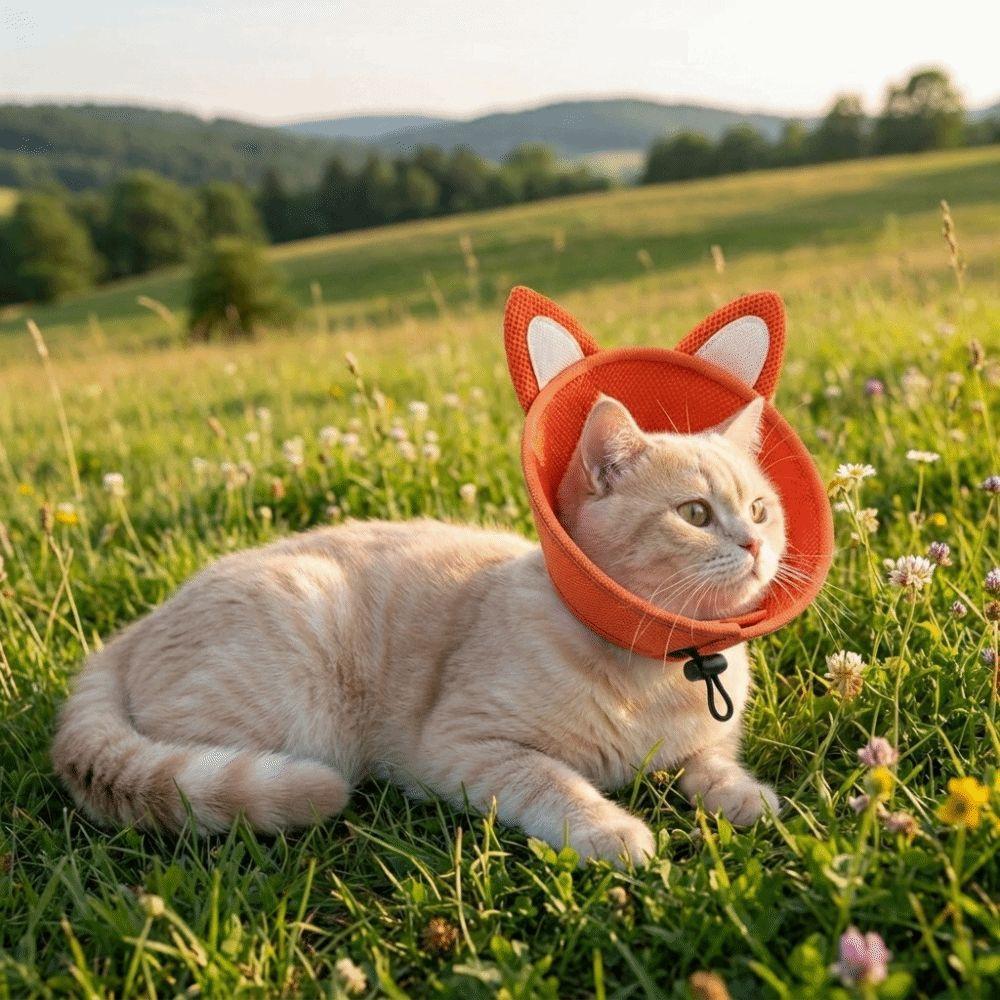 Tierförmiger Katzen-Elizabeth-Kragen Verstellbarer Katzen-Genesungskragen Katzen-Kegelkragen Kratzfest