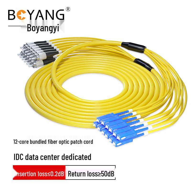 Boyang 12-Core FC-SC Single-Mode Fiber Patch Cord