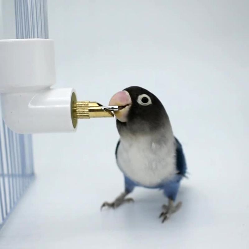 Water Bottle Automatic Feeder for Birds Guinea Pigs Hamsters Small Animals No Drip No Leak for Pet Cages 4.4oz