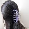 Women's Transparent Jelly Pastel Hair Clip