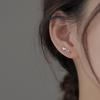 New Fashion Charm Silver Color Tulip Flower Stud Earrings for Women Girls Simple Personality Sweet Romantic Summer Jewelry Gifts