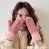 Gloves Female Cute Plush Thickened Plush Mittens Riding Warm And Cold-Proof Student Soft Girl Tide