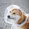 Dog Raincoat Can Be Pulled Out Pet Outdoor Supplies Waterproof, Rain, Wind and Transparent Full Package Puppy Reflective