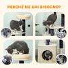 Cat Scratching Tree 92 cm Tall with House, Bed, Sisal Posts and Ball, Cream White