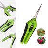 1Pc Stainless Steel Branch Pruning Shears Garden Orchard Plant Flower Fruit Tree Branch Grafting Scissors Straight and Bend Head