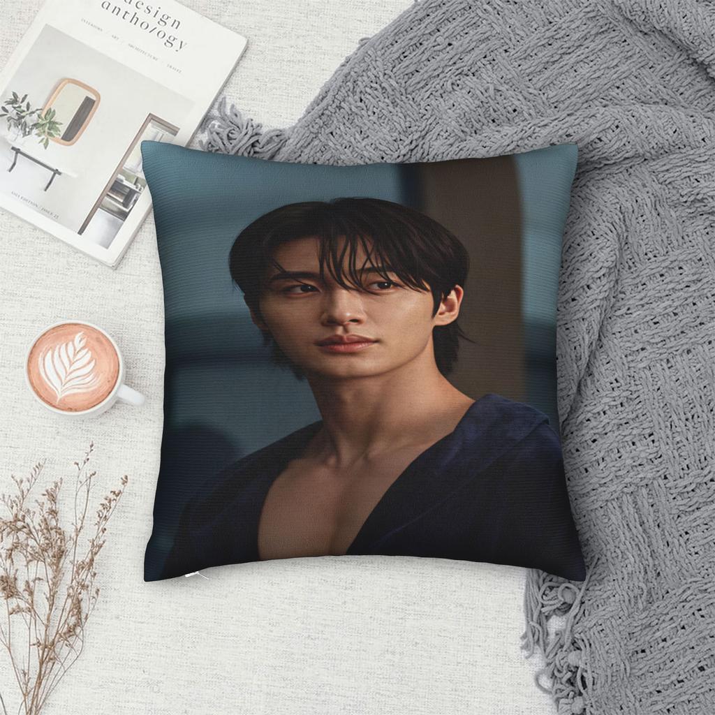 Byeon Woo Seok Pillow Cover Square Cushion Cover Funny Pillow Case For Couch Sofa Bedroom
