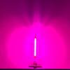 Colorful LED Night Light 5V USB Touch Control Atmosphere Lamp Mini Incandescent Bulb for Home Decoration 360Degree Lighting