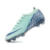 Cheetah sports professional nail men's training low-top new assassin football shoes competition long nail broken football price