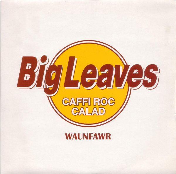 7inch Record BIG LEAVES - Sly Alibi / Double Trouble WCRACK002 Whipcord Record 1999 Japan Pop Used