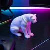 Panther Figurine 3D Printed Black White Wildlife Figure Collectible Animal Sculpture for Home Office Desk Decor