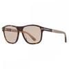 Tom Ford FranceS Brown Square Men S SunglaSSeS Ft1081 52e 58