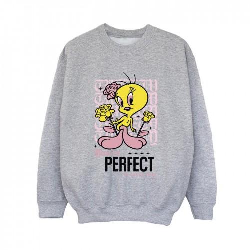 Looney Tunes Boys YouÂ´re Perfect Tweety Sweatshirt