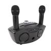 Drahtloses Mikrofonsystem Dual Professionell Heim-KTV Innovatives Eule Drahtloses Karaoke-Mikrofonsystem