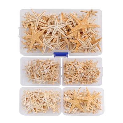 Natural Starfish Craft Starfish Fish Tank Decoration Jewelry Making