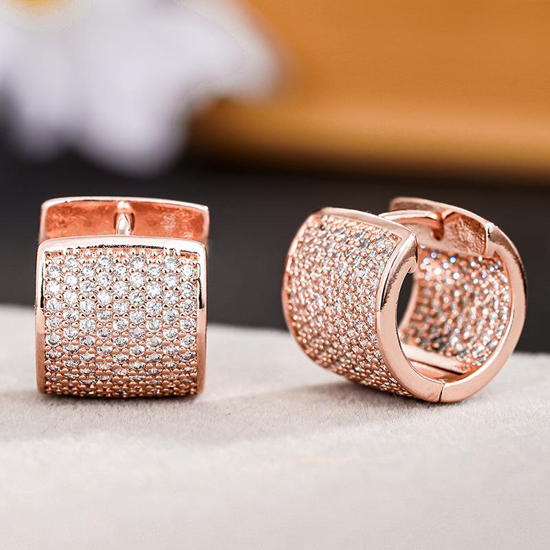

2026 New Micro Inlaid Light Luxury Exquisite Earrings Elegant and High End Versatile Personalized Fashion Accessories