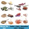 Life Cycle Board Montessori Kit Biology Science Education Toys for Kids Sensory Tray Animal Figure Life Cycle Sorting Wooden Toy