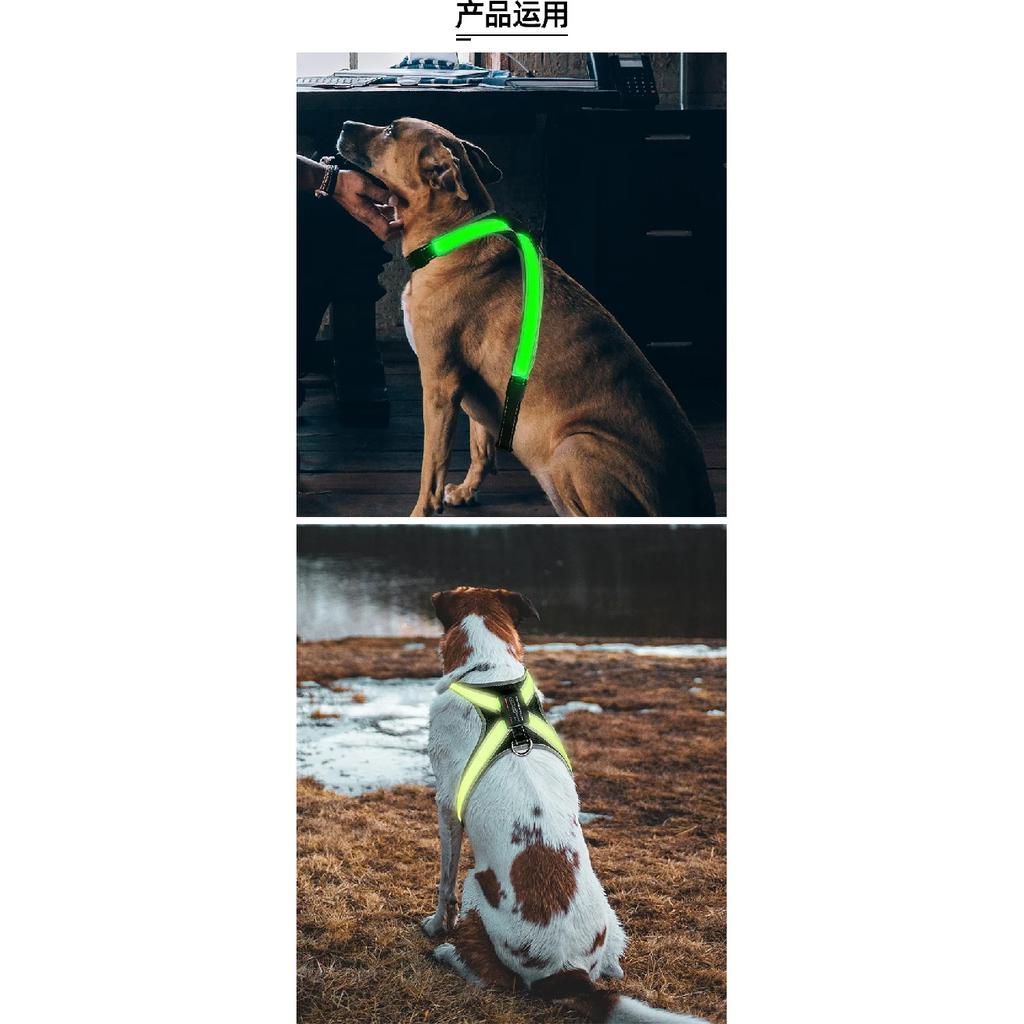 Color Changing Dog Collar Explosion Resistant Reflective Vest Adjustable Chest Harness LED Light Pet Leash