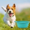 600ML Pet Bowl Convenient Foldable Silicone Dog Bowls Portable Easy To Clean Cat Dog Food Bowl Pet Supply