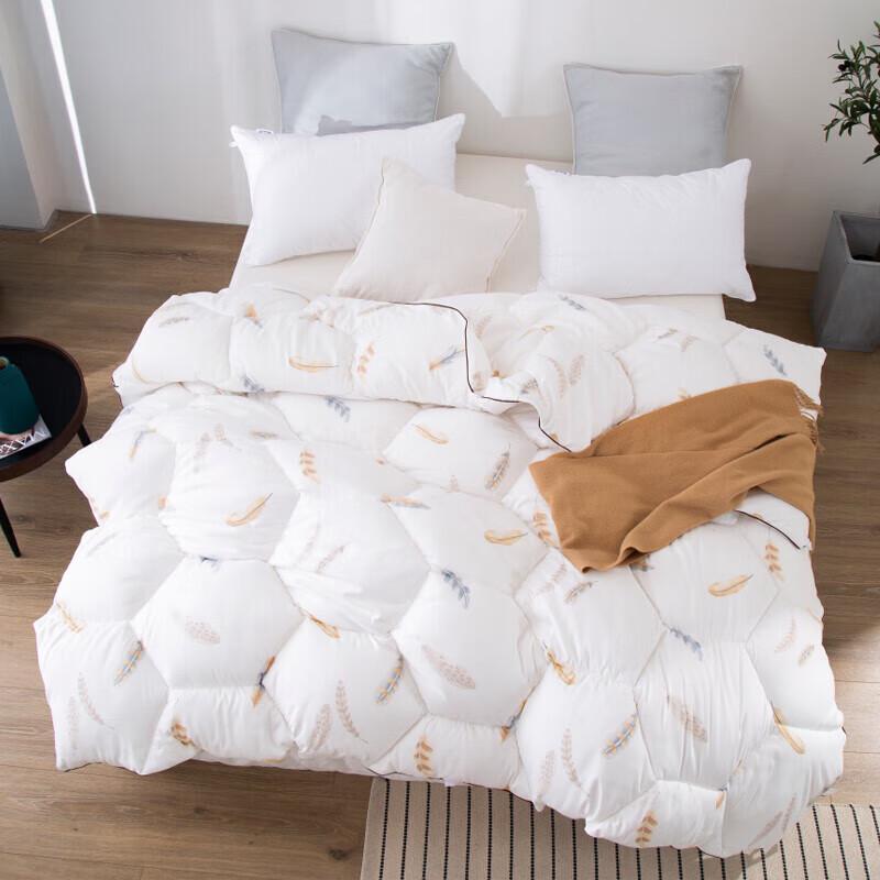 

Dohia Ailaita Warm Fiber Quilt