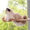 Cat Furniture, Rubber Wood Transparent Capsule Kitten Wall Shelves - Premium Kitty Bed for Sleeping, Playing, Climbing